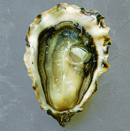 Fanny Bay Oysters