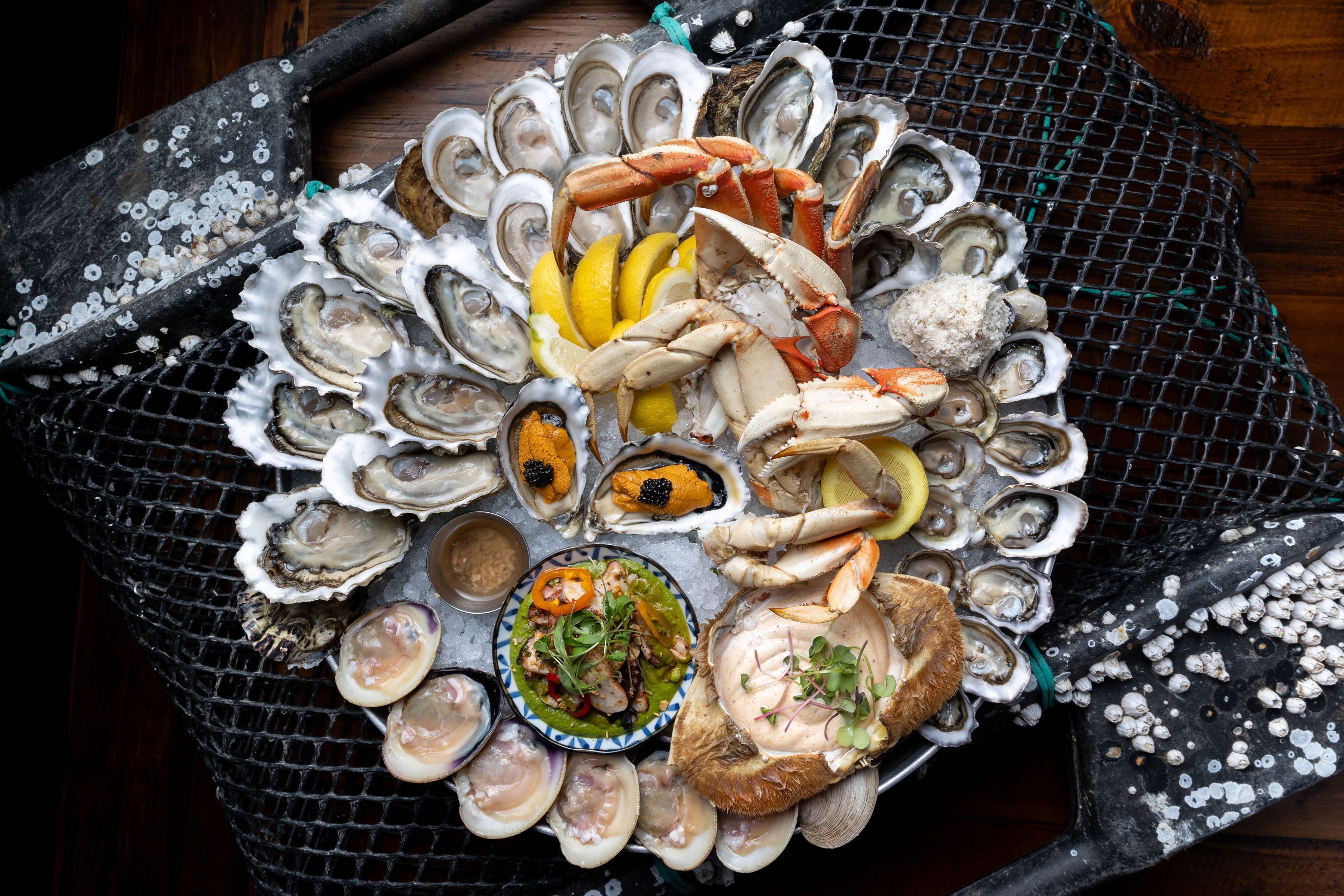 20240507-fannybay-7366-leilakwok-2.jpg 20240507-fannybay-7366-leilakwok-2.jpg