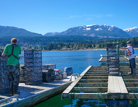 Two men moving oyster cages from boat to dock Two men moving oyster cages from boat to dock